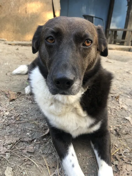 IMG_7205.jpg?type=w466