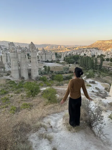 IMG_4029.jpg?type=w466