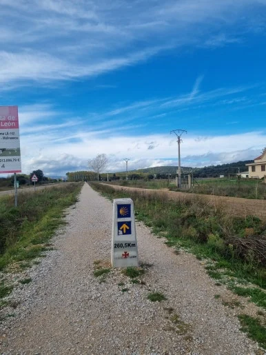 20231029_143230.jpg?type=w386