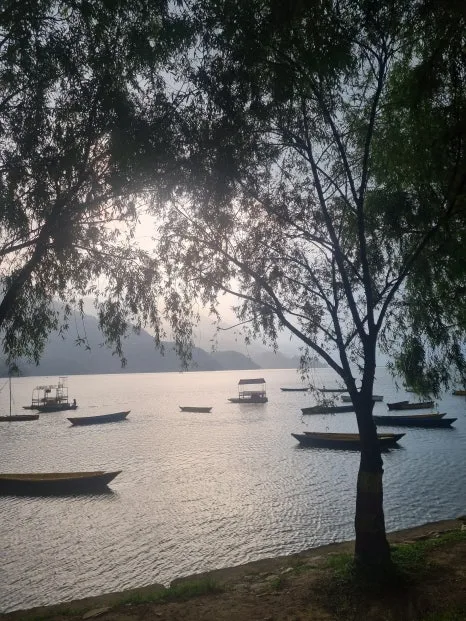 20230515_163202.jpg?type=w466