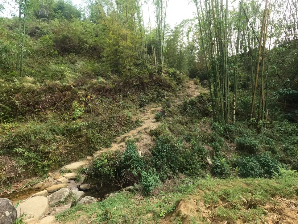 GOPR1729.JPG?type=w966