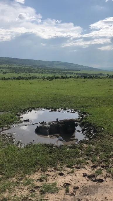 IMG_7147.JPG?type=w386