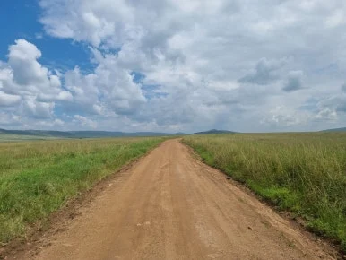 20231205_133818.jpg?type=w386