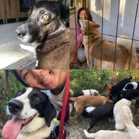 IMG_20231009_140241_365.jpg?type=w466