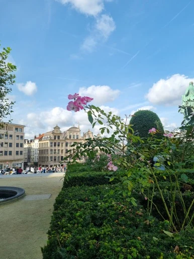 20230930_140728.jpg?type=w386