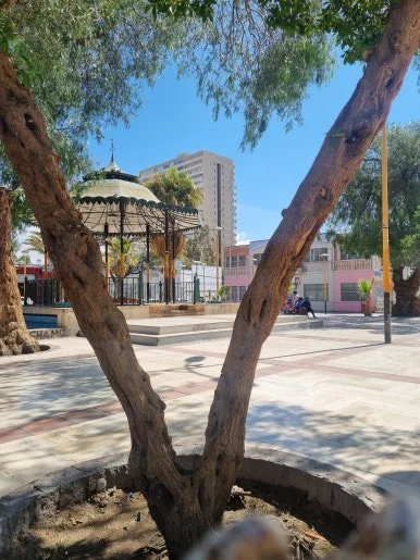 20240206_162004.jpg?type=w386