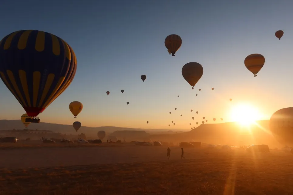 IMG_4830.JPG?type=w966