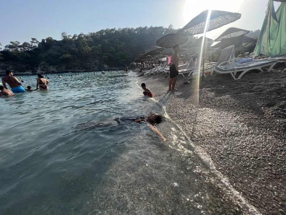 IMG_6556.jpg?type=w966