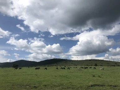 IMG_7119.jpg?type=w386