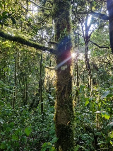 20231208_171703.jpg?type=w386