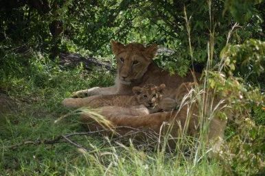 71e6f47c-9aa0-41d5-b81c-2ca329ef93e1.JPG?type=w386