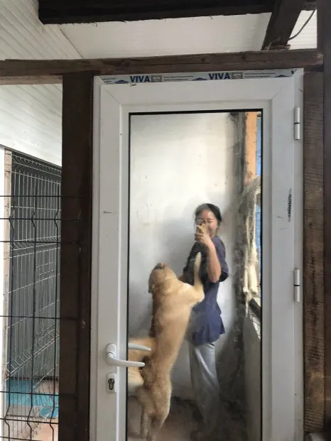 IMG_6729.jpg?type=w466