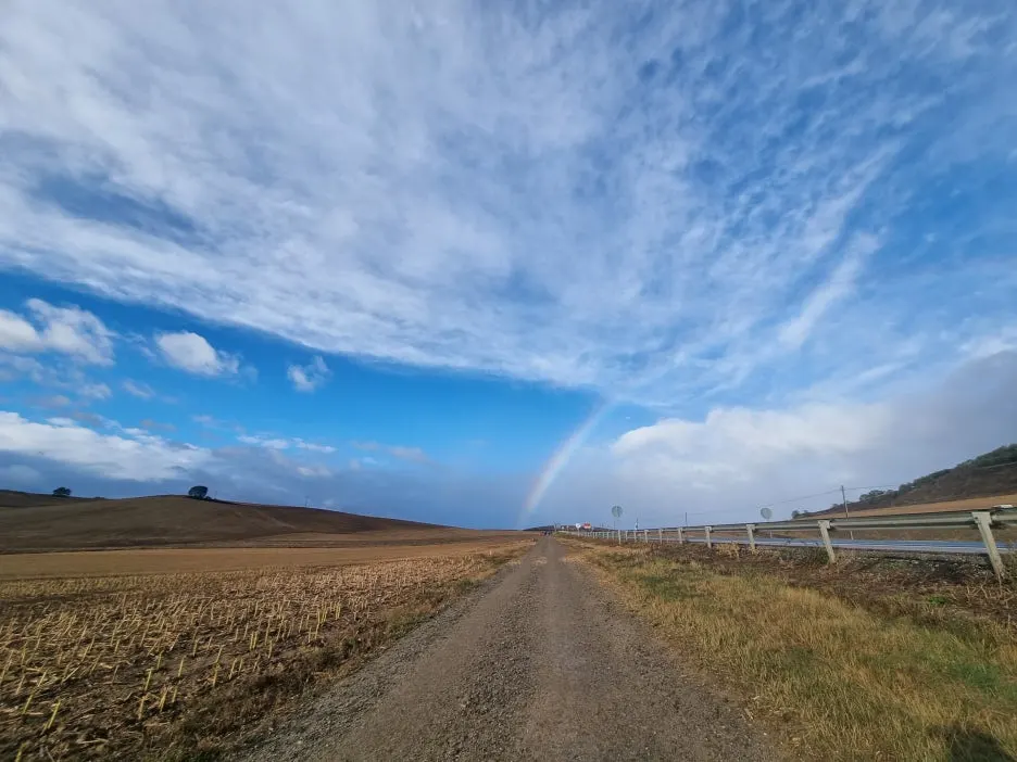 20231019_095544.jpg?type=w1