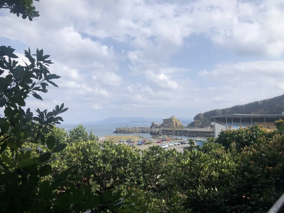 IMG_0684.jpg?type=w1