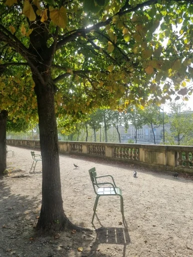 20231002_115524.jpg?type=w386