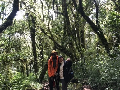 IMG_8956.jpg?type=w386