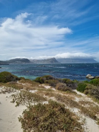 20240109_160955.jpg?type=w386