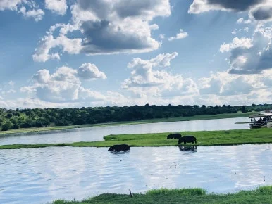 IMG_2112.jpg?type=w386