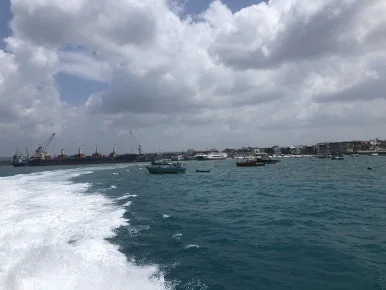 IMG_1232.jpg?type=w386