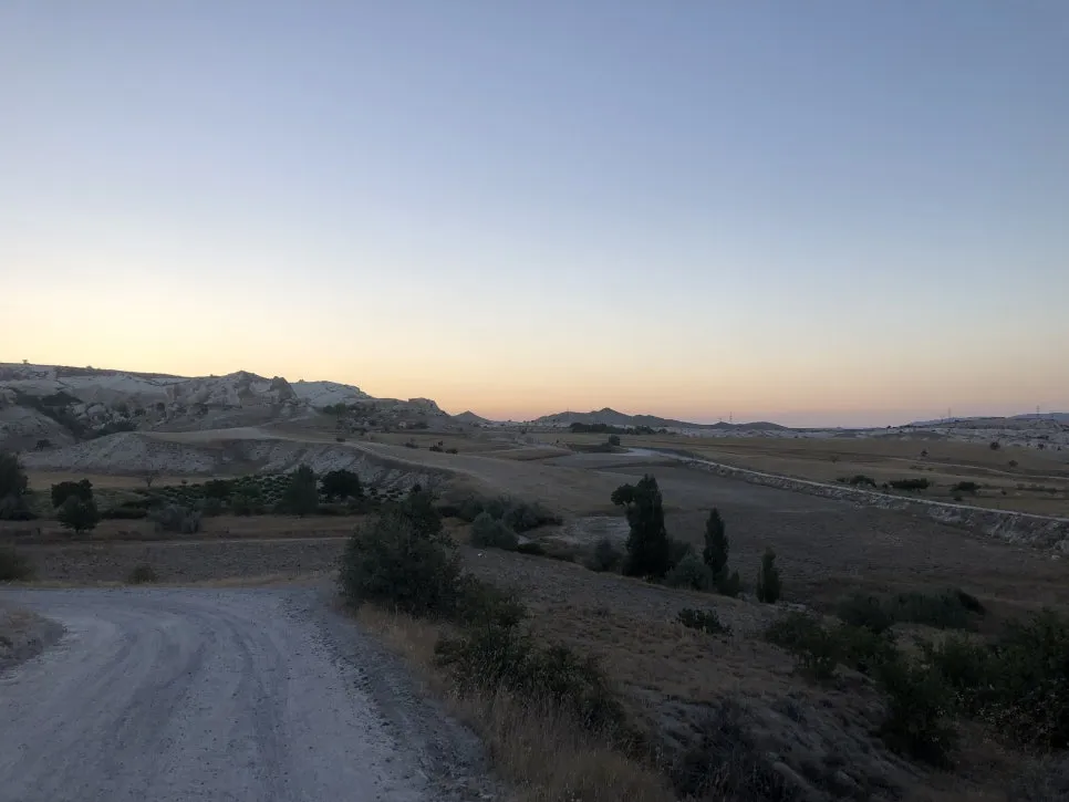 IMG_1649.jpg?type=w966