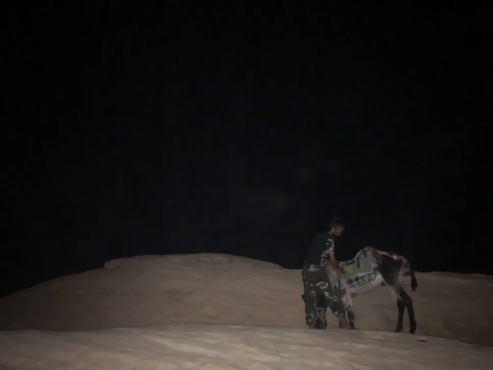 IMG_9375.jpg?type=w966