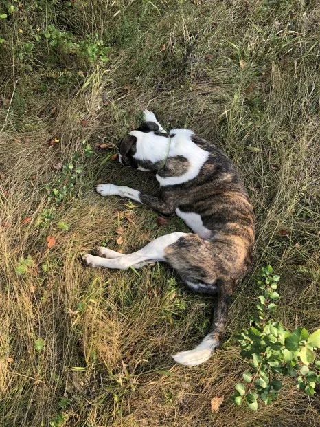 IMG_7223.jpg?type=w466