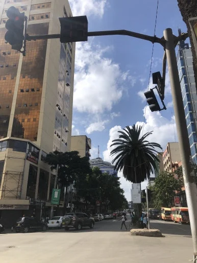 IMG_6759.jpg?type=w386