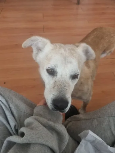 20240207_143145.jpg?type=w386