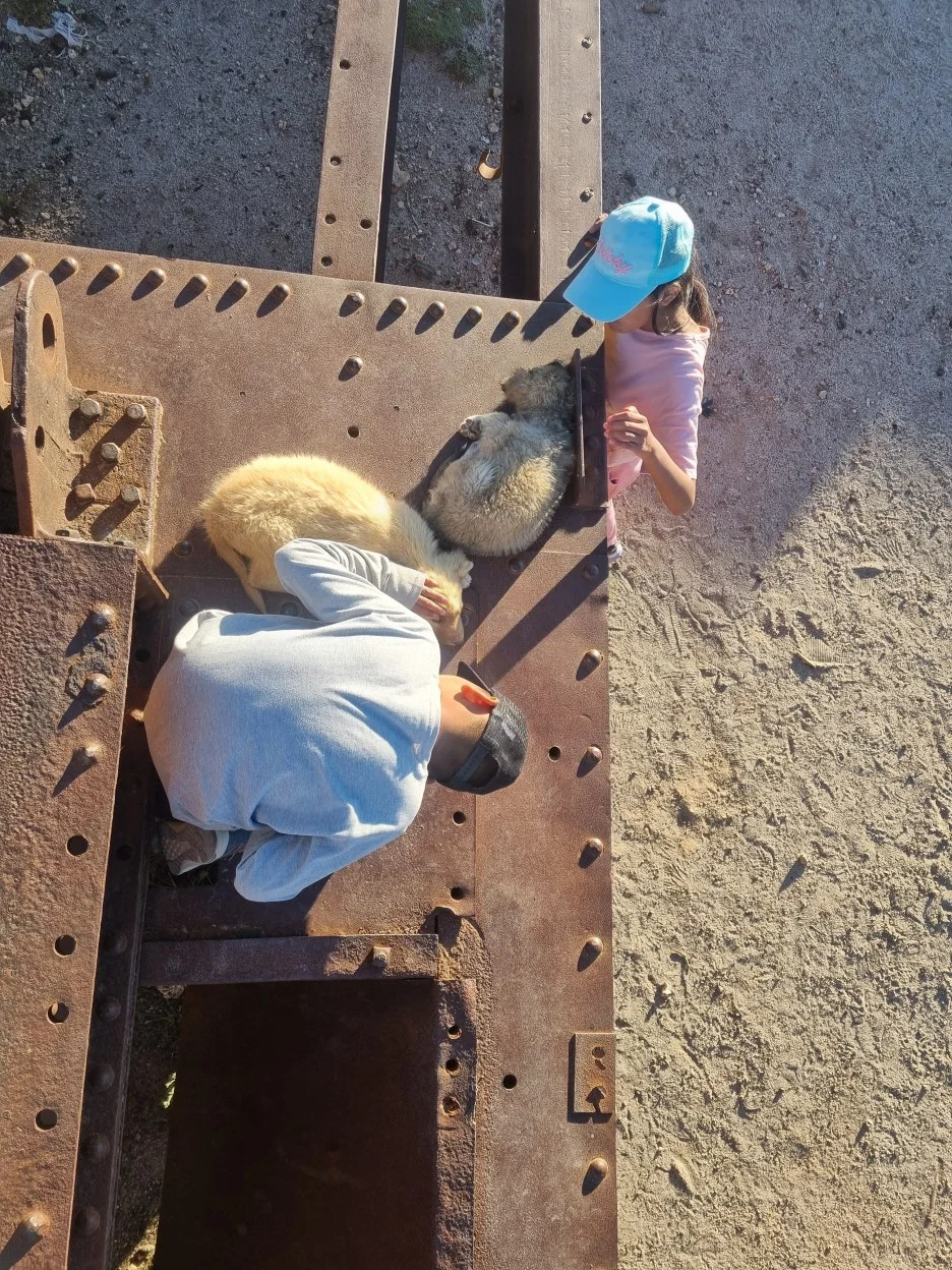 20240209_181528.jpg?type=w1