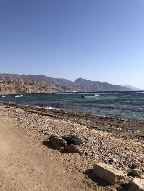 IMG_9685.jpg?type=w466