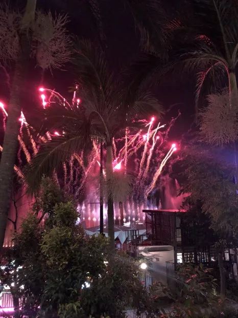 IMG_3011.jpg?type=w466