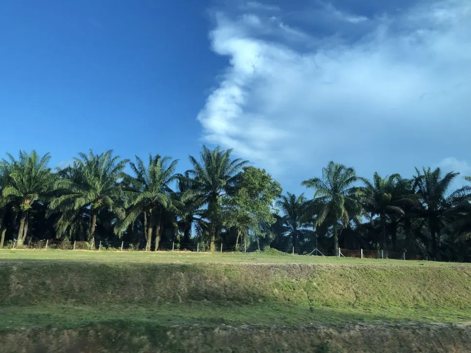 IMG_3194.jpg?type=w966