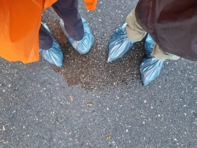 20231018_082255.jpg?type=w386