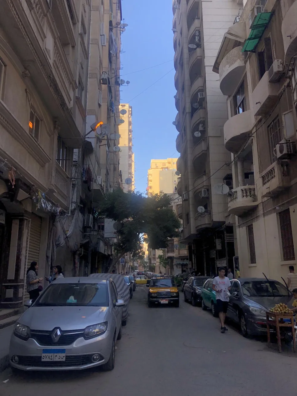 IMG_0890.jpg?type=w966