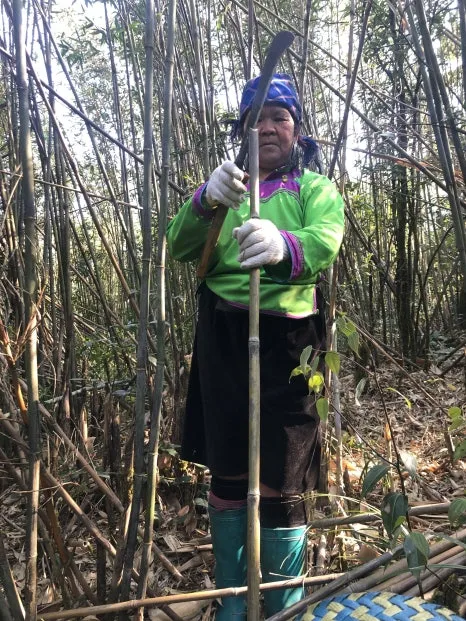 IMG_4575.jpg?type=w466