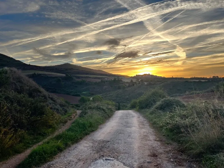 1697723391698.jpg?type=w773