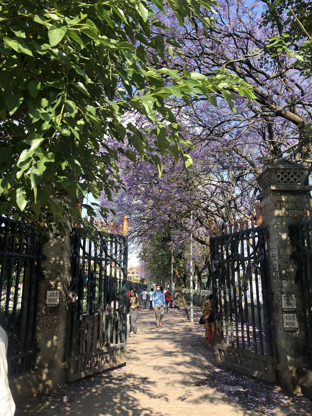 IMG_5457.jpg?type=w3840