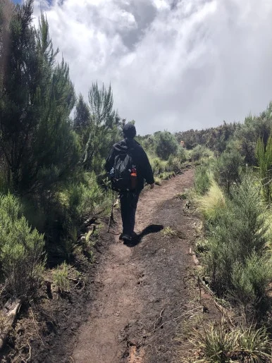 IMG_8926.jpg?type=w386