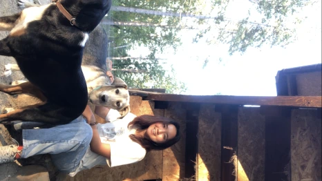 IMG_7382.PNG?type=w466