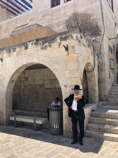 IMG_7382.jpg?type=w466