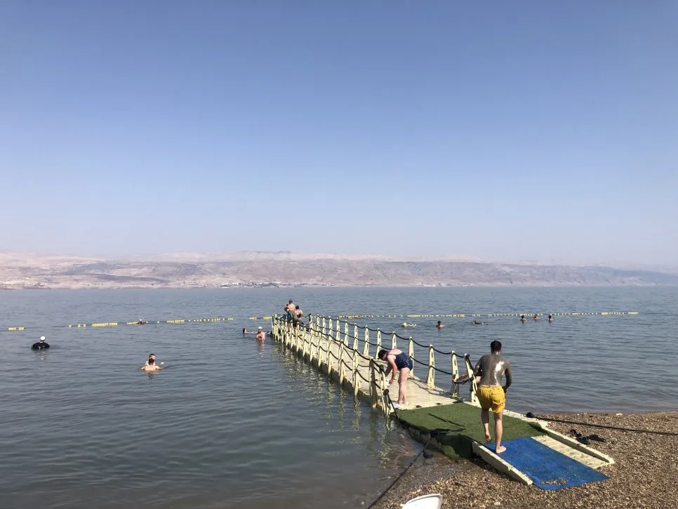 IMG_7655.jpg?type=w966