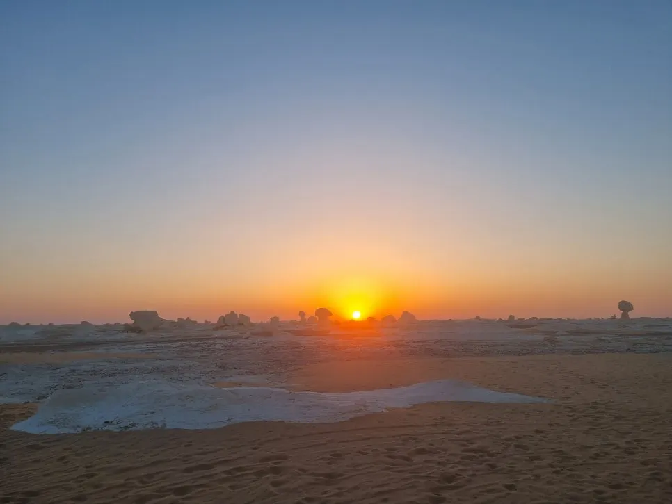 20230723_063238.jpg?type=w966