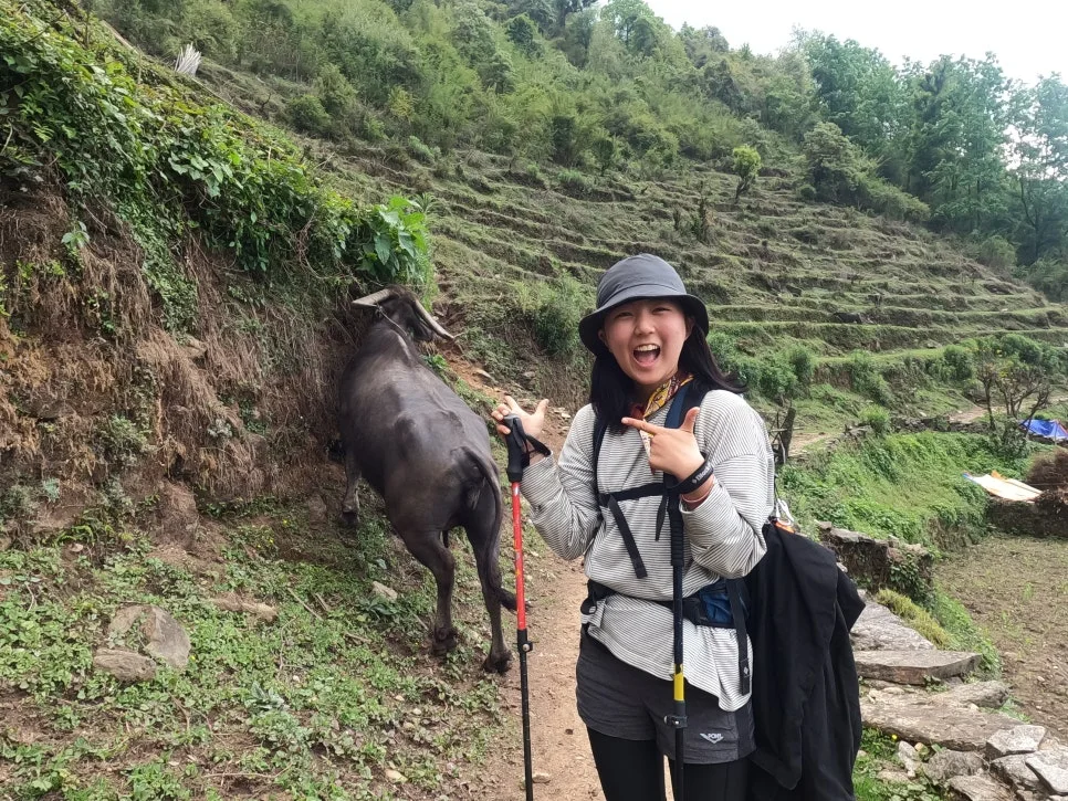 GOPR2678.JPG?type=w966