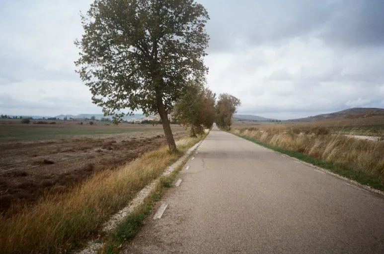 1703163218413.jpg?type=w773