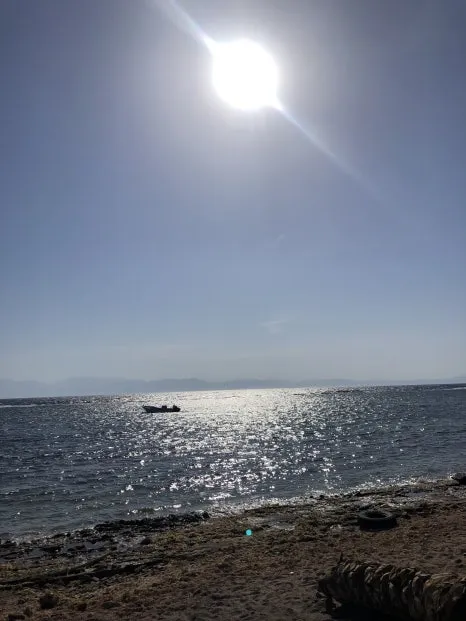 IMG_9684.jpg?type=w466