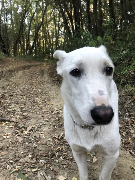 IMG_6992.jpg?type=w466