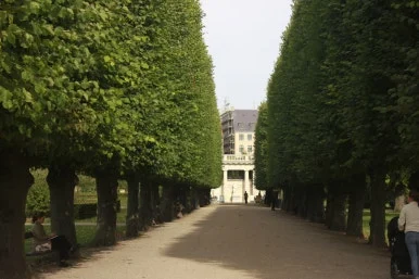 _MG_8678.JPG?type=w386