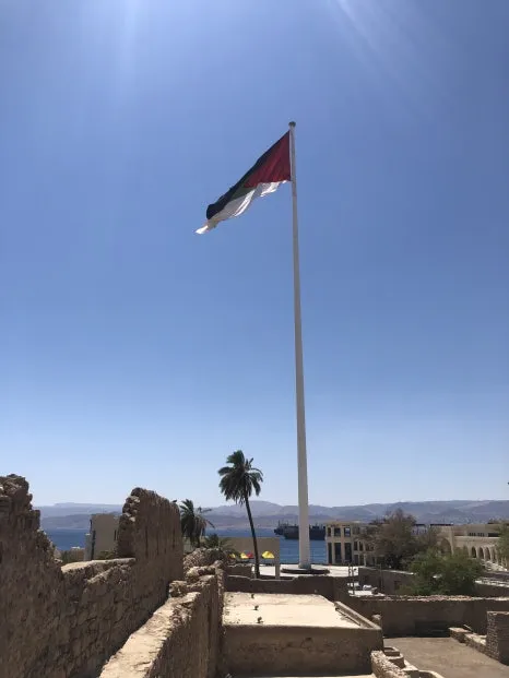 IMG_8533.jpg?type=w466