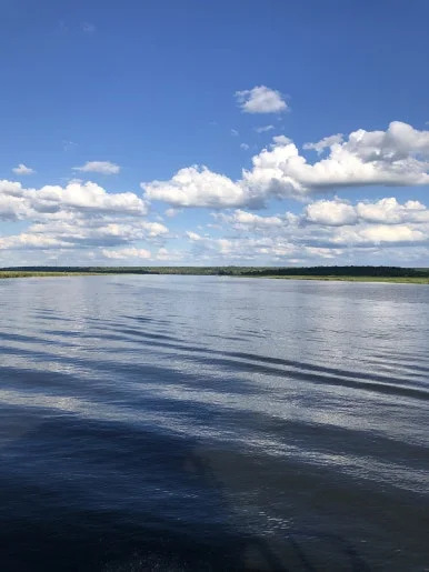 IMG_2301.jpg?type=w386