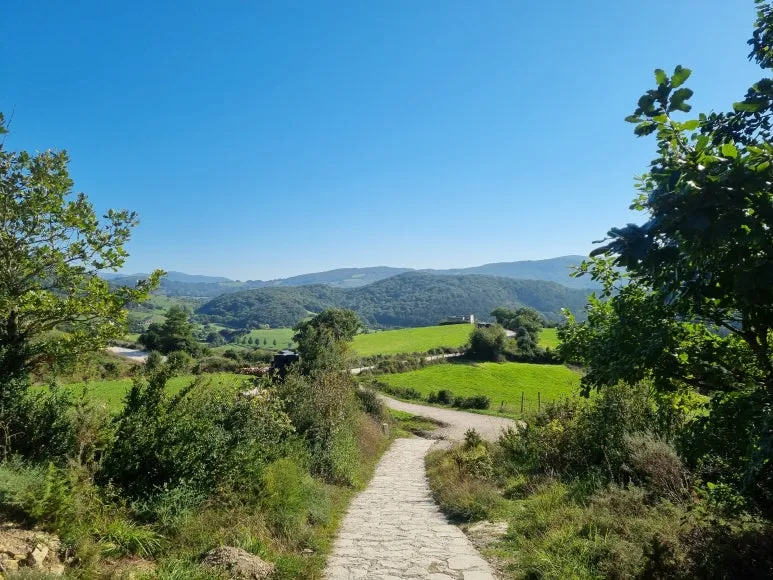 20231011_113628.jpg?type=w773